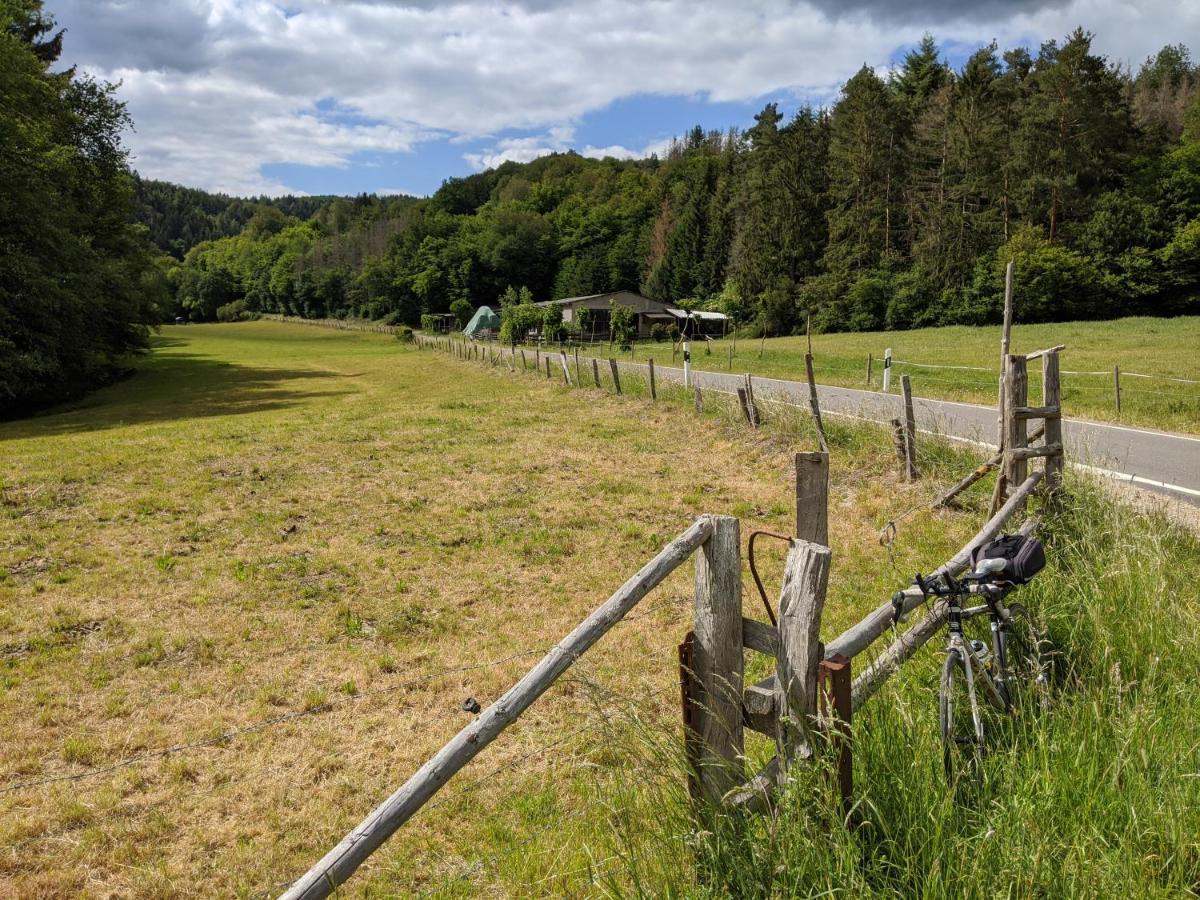 Am Bungert Apartman Mayschoß Kültér fotó